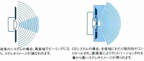 Structure of the CD horn