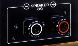 Speaker terminal