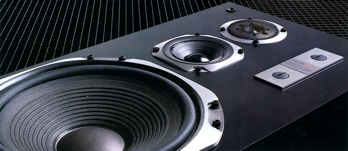 Enlarged photograph of the front baffle